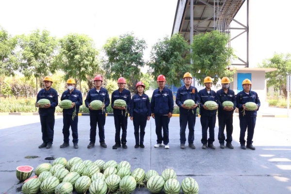 201689812204299557.jpg 工會(huì)送清涼01.jpg